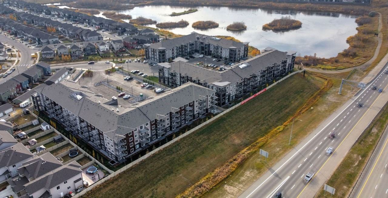 Sora - Photo 4 of 50