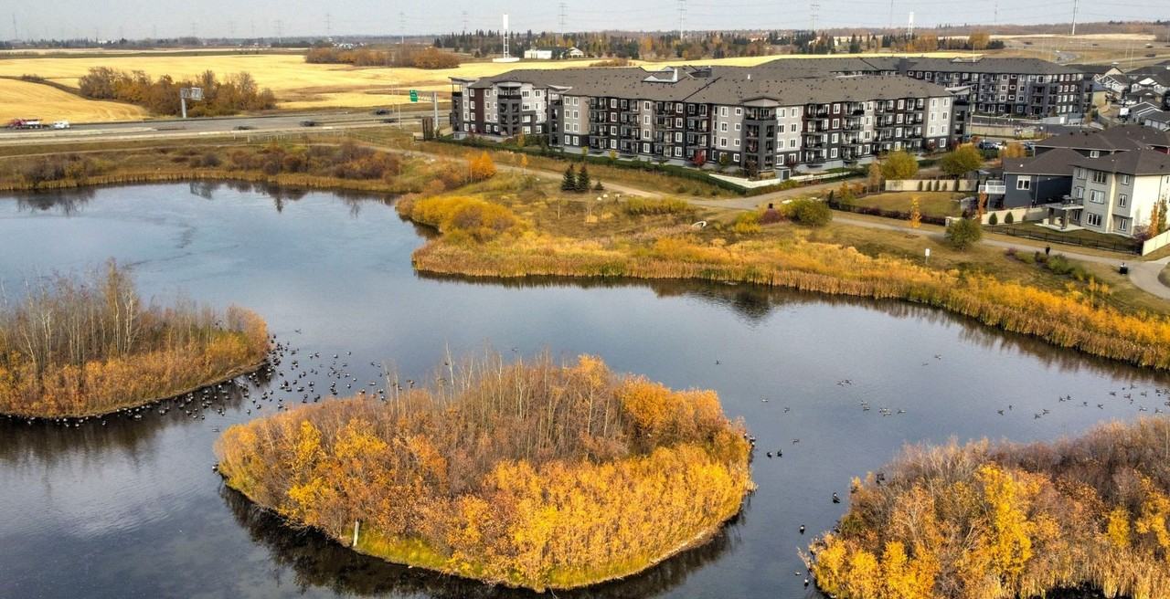 Sora - Photo 5 of 50