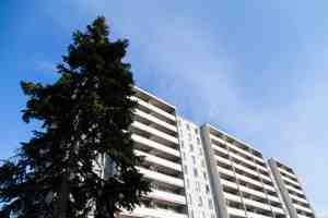 featured image of 11 Antrim Cres