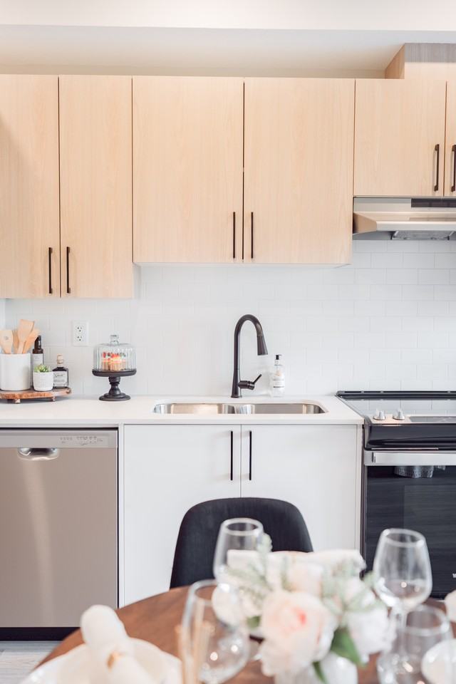 Enzo - Photo 6 of 50