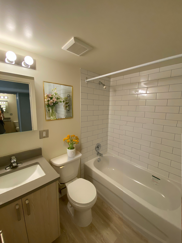 Imperial Apartments - Photo 5 of 50