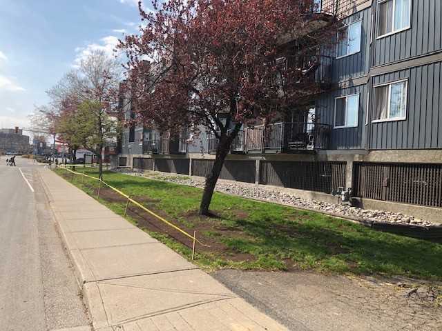 Lakeside Court - Photo 3 of 22