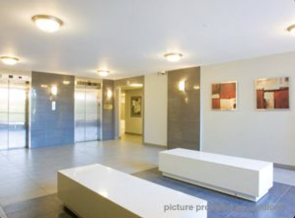 7, 9 & 11 Crescent Pl - Photo 7 of 45