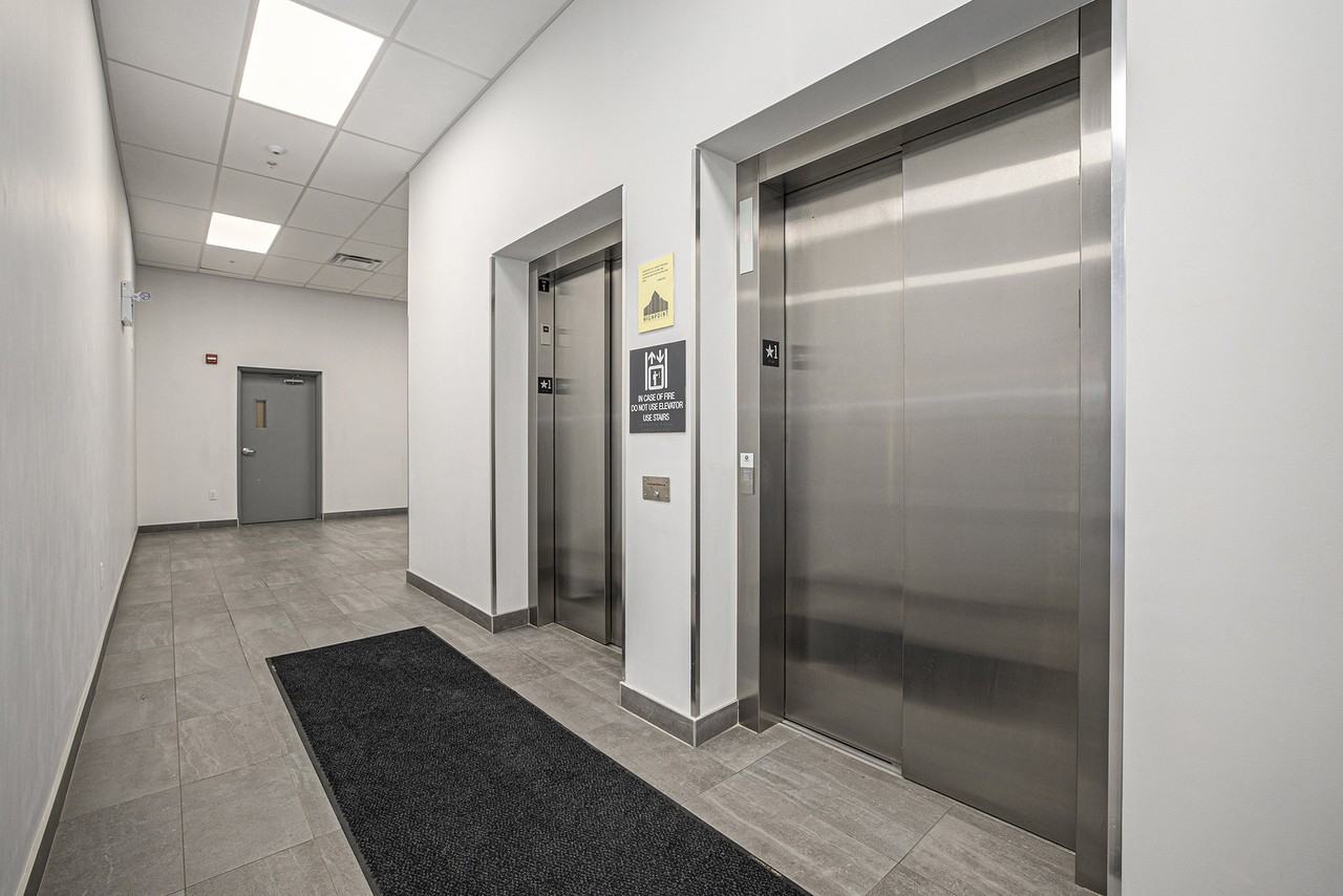 Mural Kingston - Photo 7 of 50