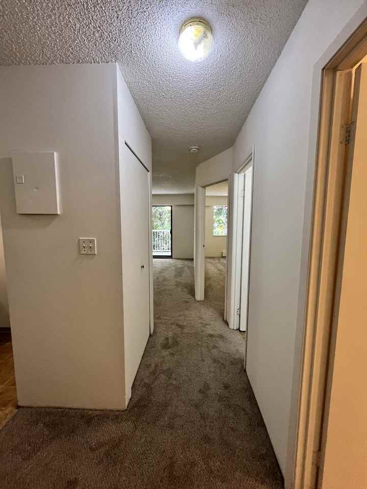 Cedar Ridge - Photo 5 of 19