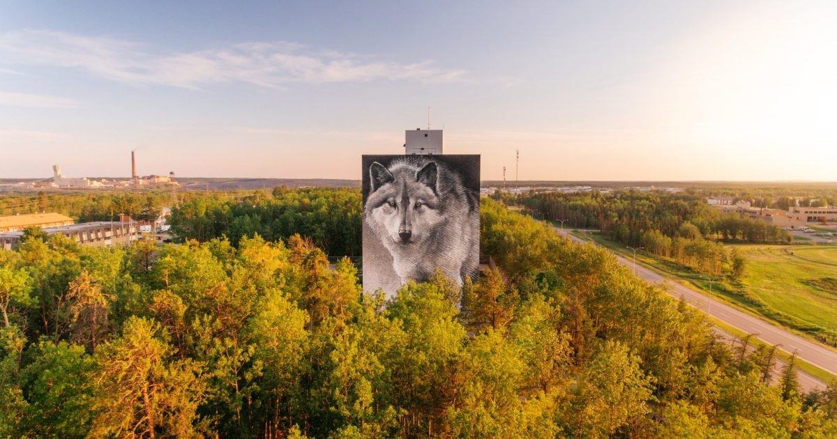 Highland Tower - Photo 3 of 10