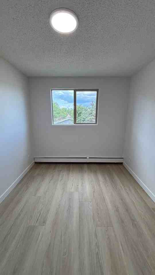 The Mews – Carlton - Photo 7 of 30