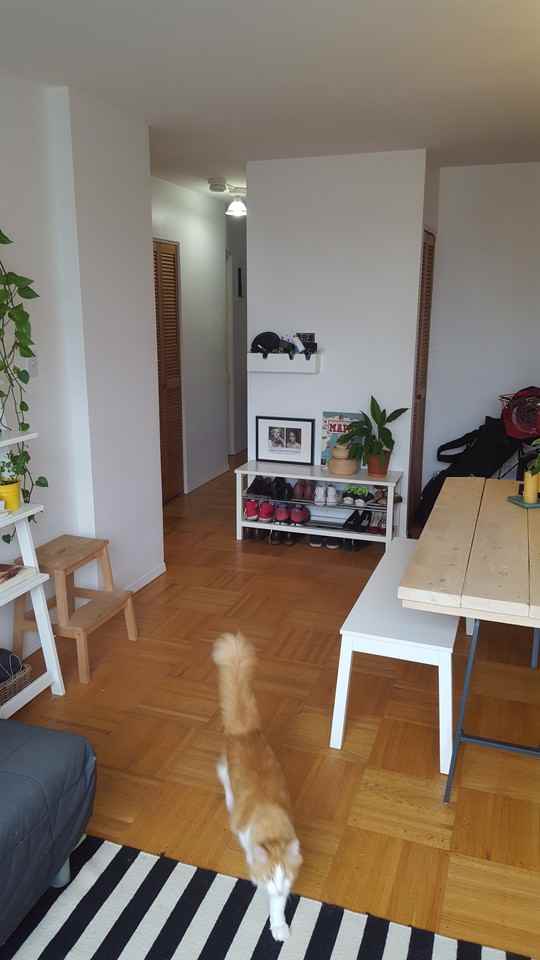 Edgemont - Photo 3 of 35