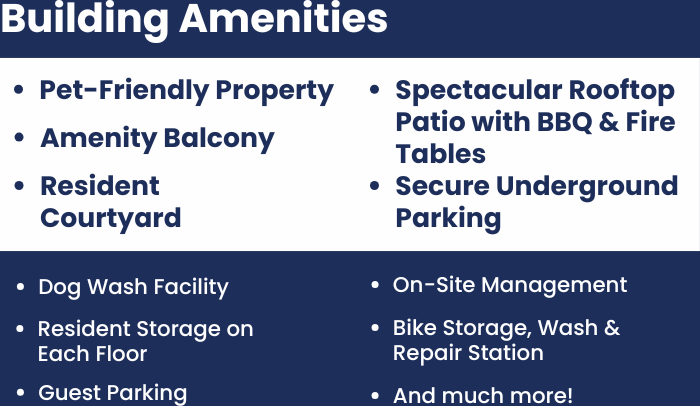 The Rise Apartment Homes - Photo 7 of 50