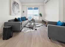 Harmony at the Market - Photo 1 of 1