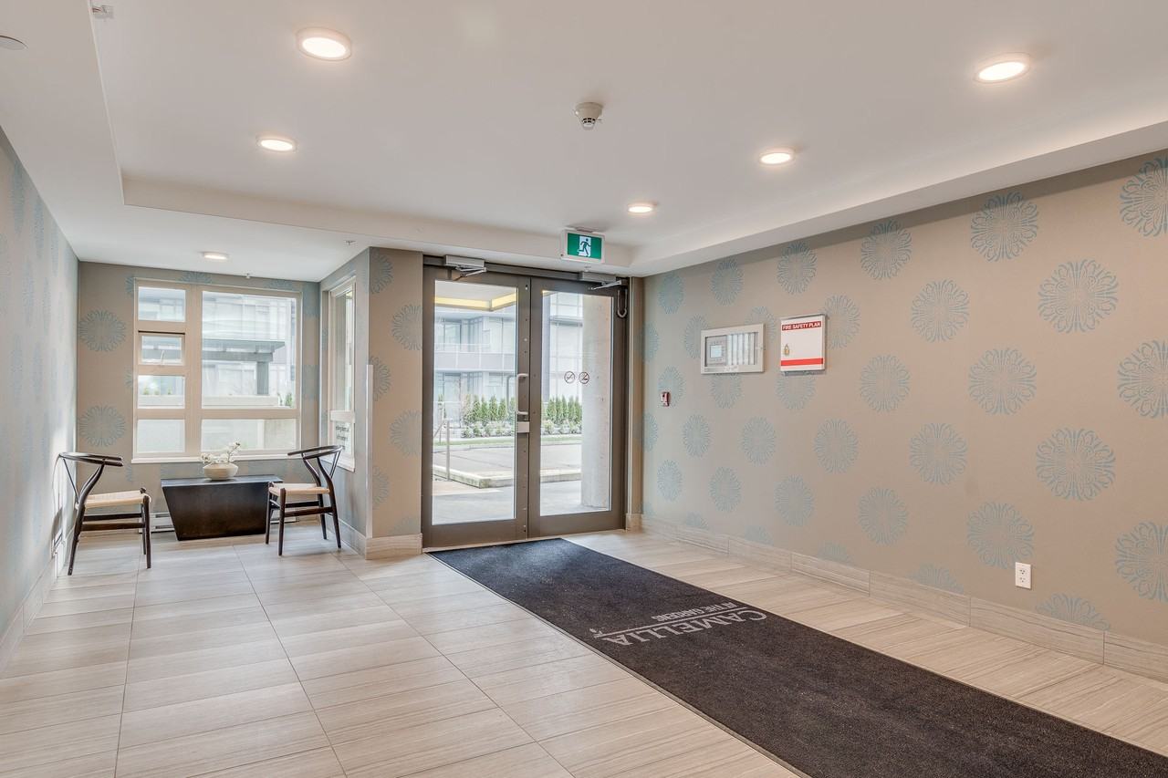 Camellia - Photo 5 of 50