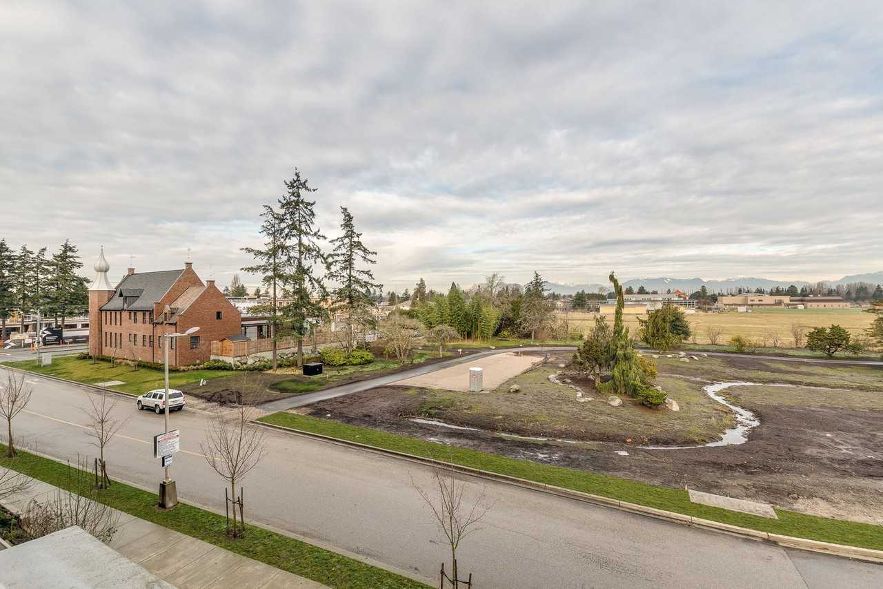 Camellia - Photo 6 of 50