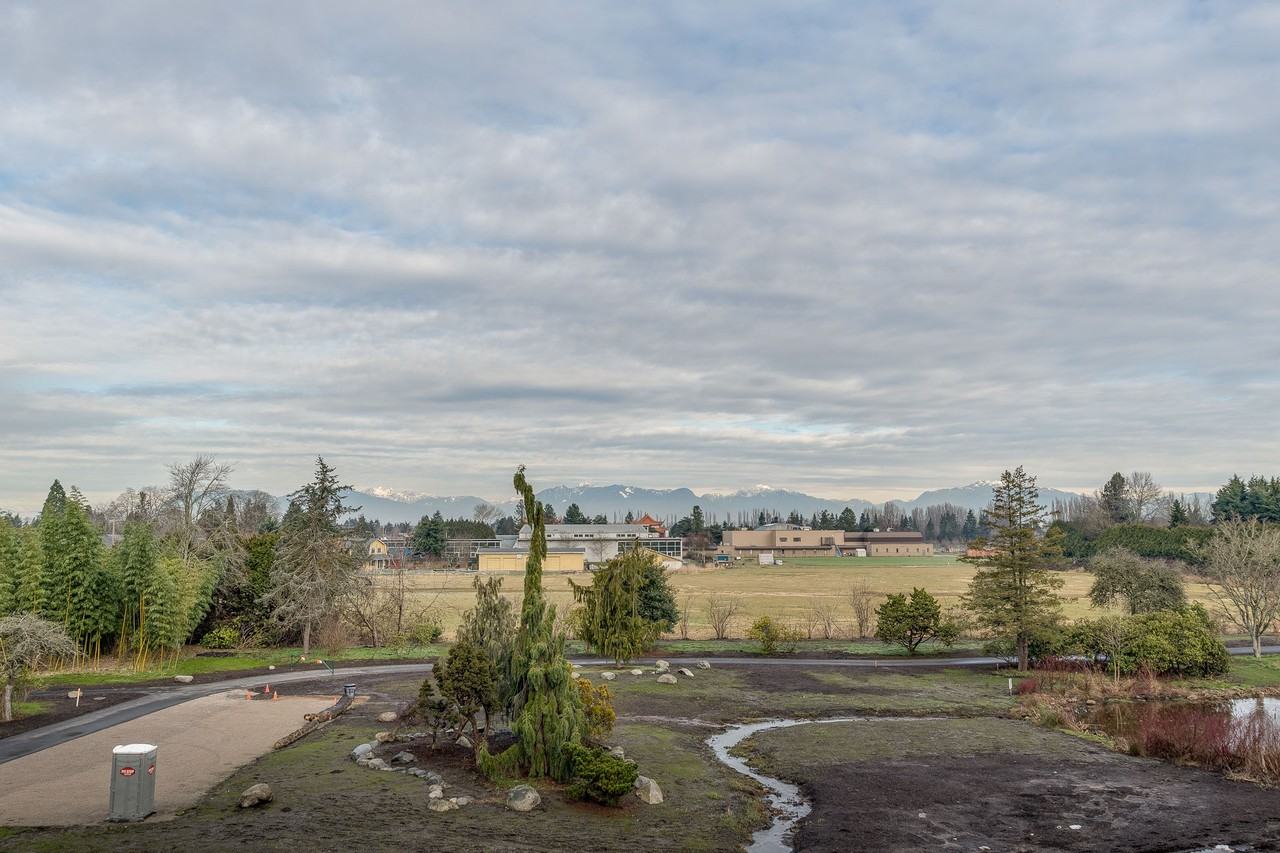 Camellia - Photo 7 of 50