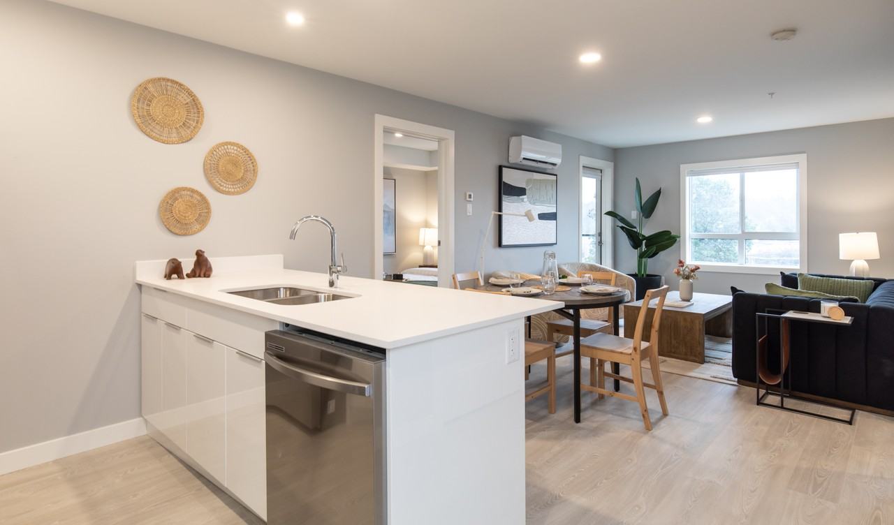 Regatta - Photo 3 of 16