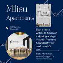 Milieu - Photo 1 of 1