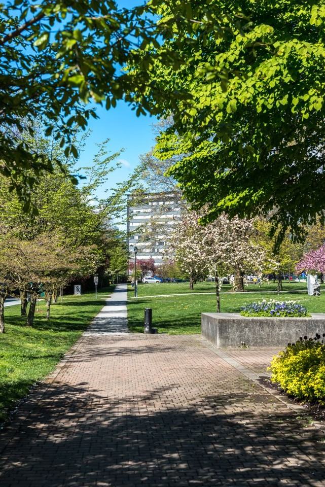 Parkview Towers - Photo 7 of 27