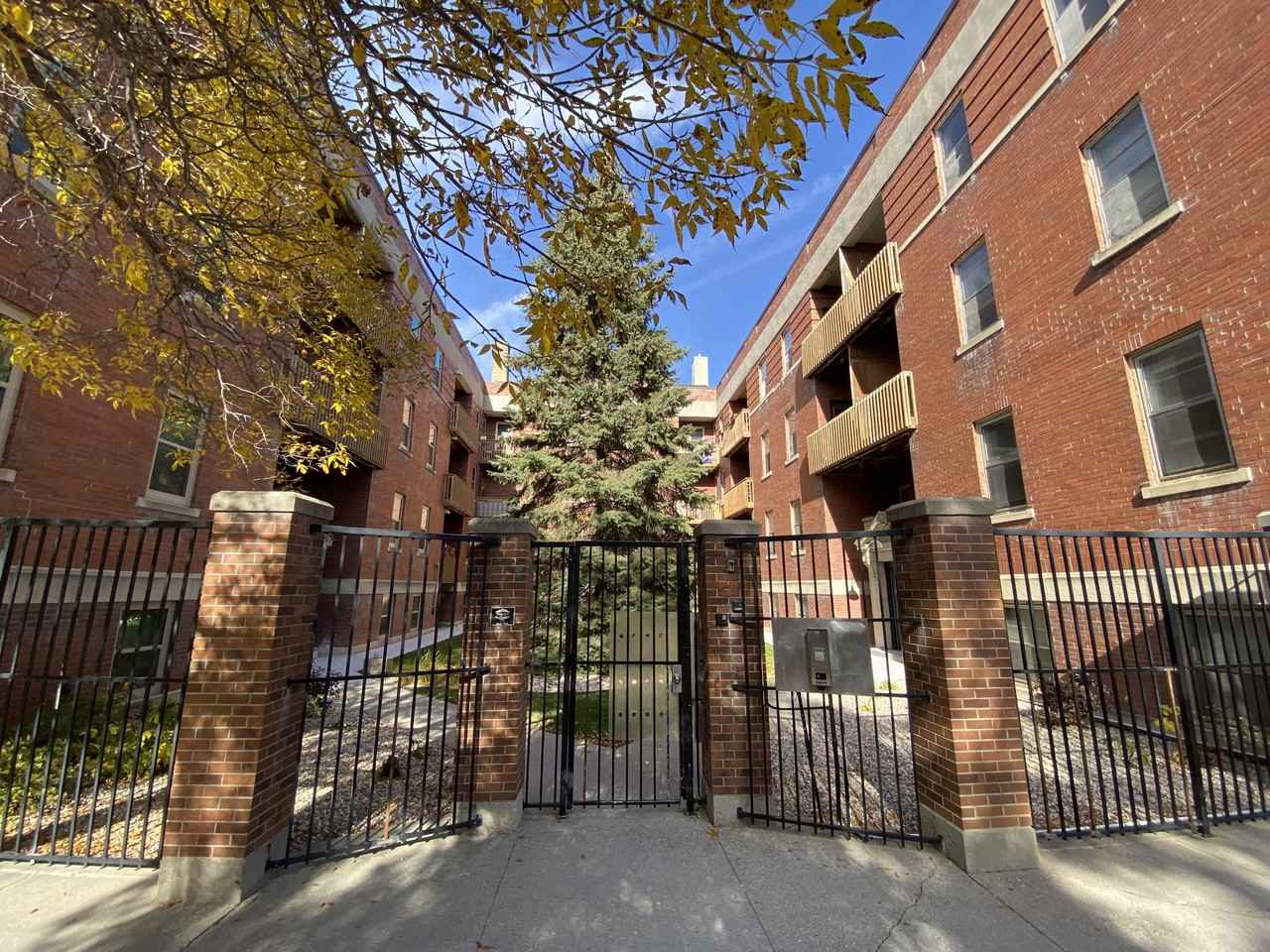 Maple Leaf - Photo 4 of 30