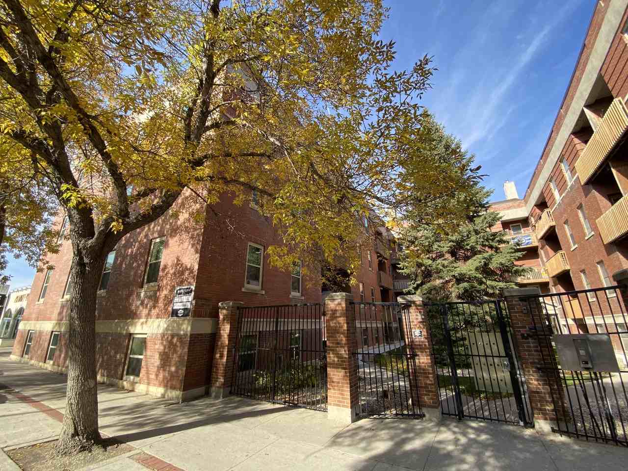 Maple Leaf - Photo 5 of 30