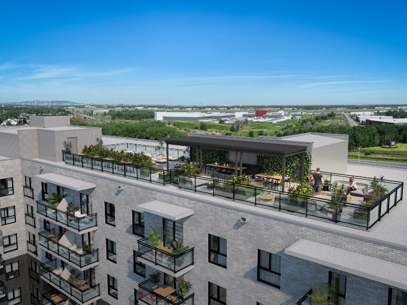 Mostra + Saint - Photo 4 of 12