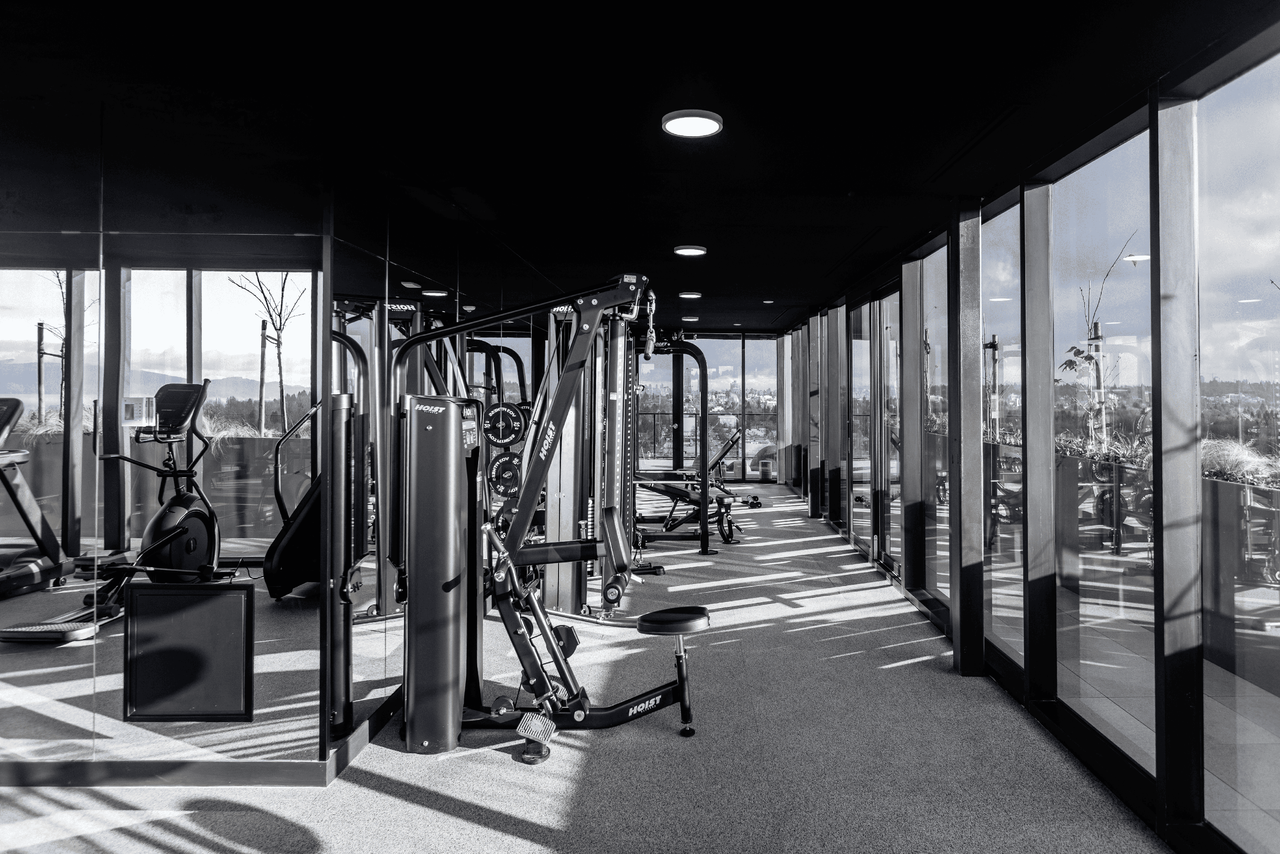 The Raven - Photo 7 of 19