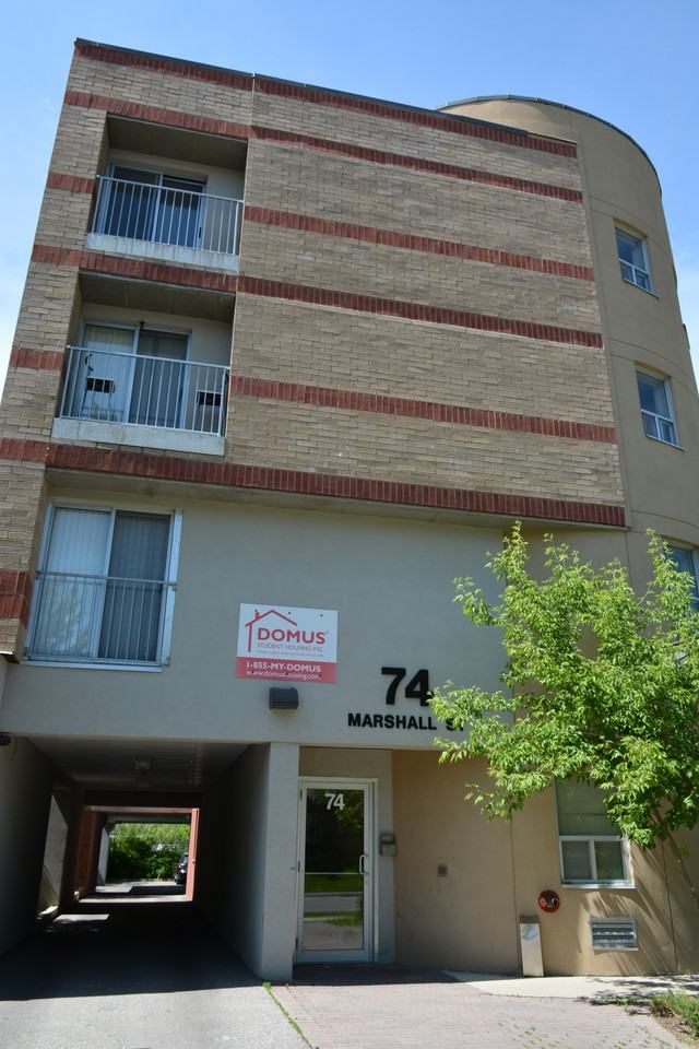 Forgetting Marshall - Photo 4 of 12