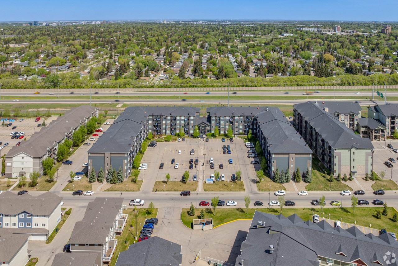 Cielo - Photo 2 of 18