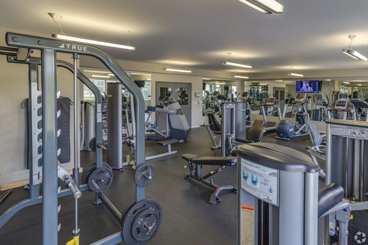 Cielo - Photo 7 of 18