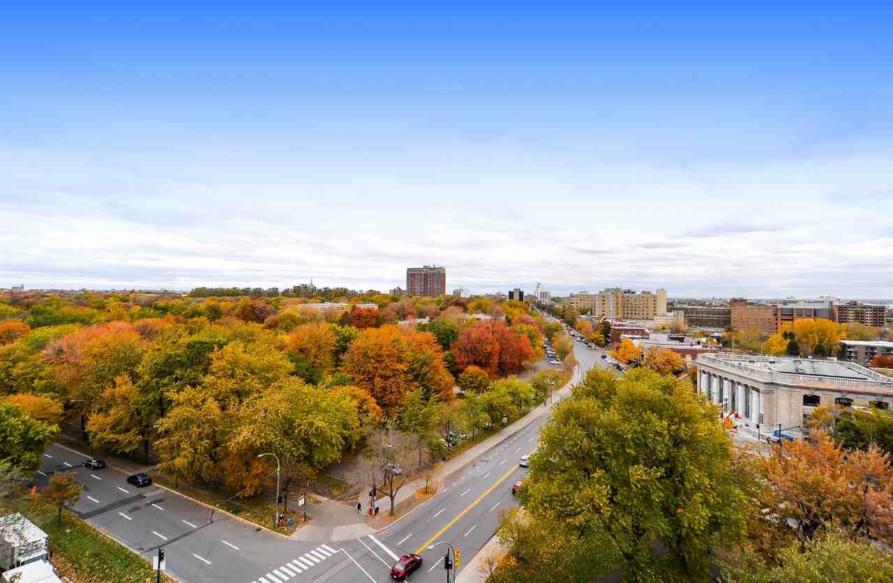 Le Cherrier - Photo 2 of 19