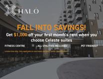 The Halo - Photo 1 of 1