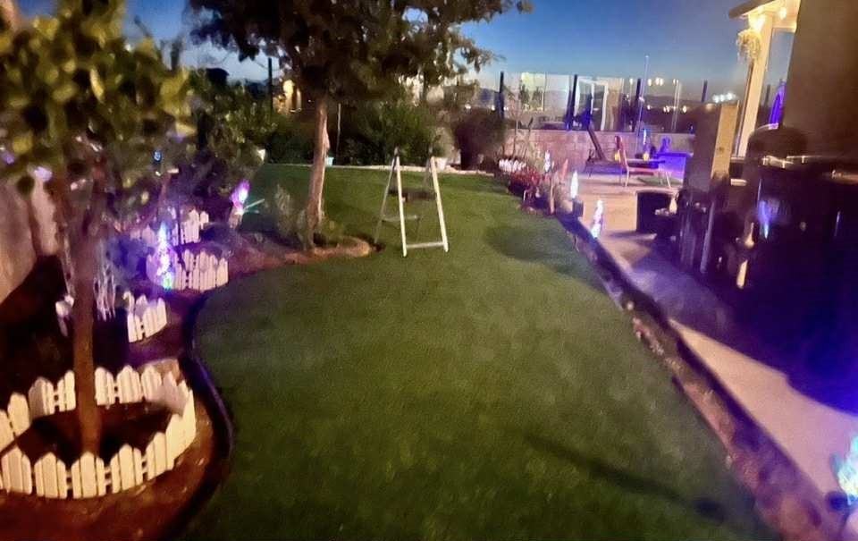 31509 Tuberose Rd #31509 - Photo 2 of 41