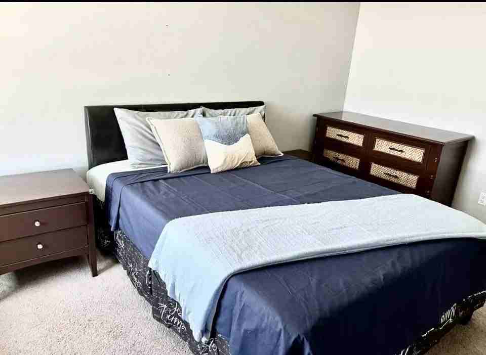 31509 Tuberose Rd #31509 - Photo 3 of 41