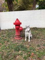 115 S Lois Ave #111 - Photo 1 of 1