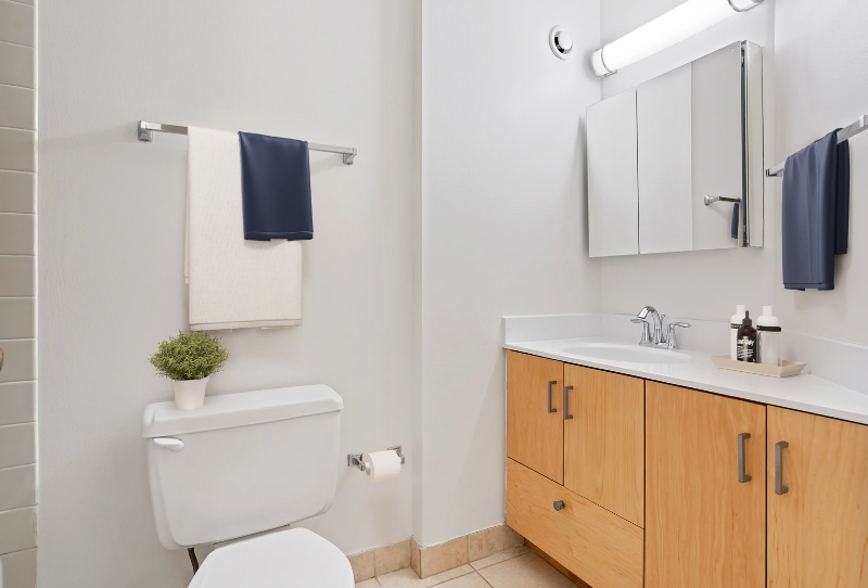 710 N Dearborn St - Photo 7 of 11