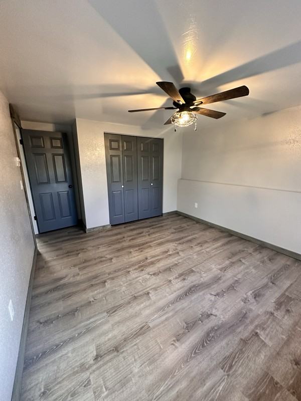 703 Colorado St - Photo 2 of 12