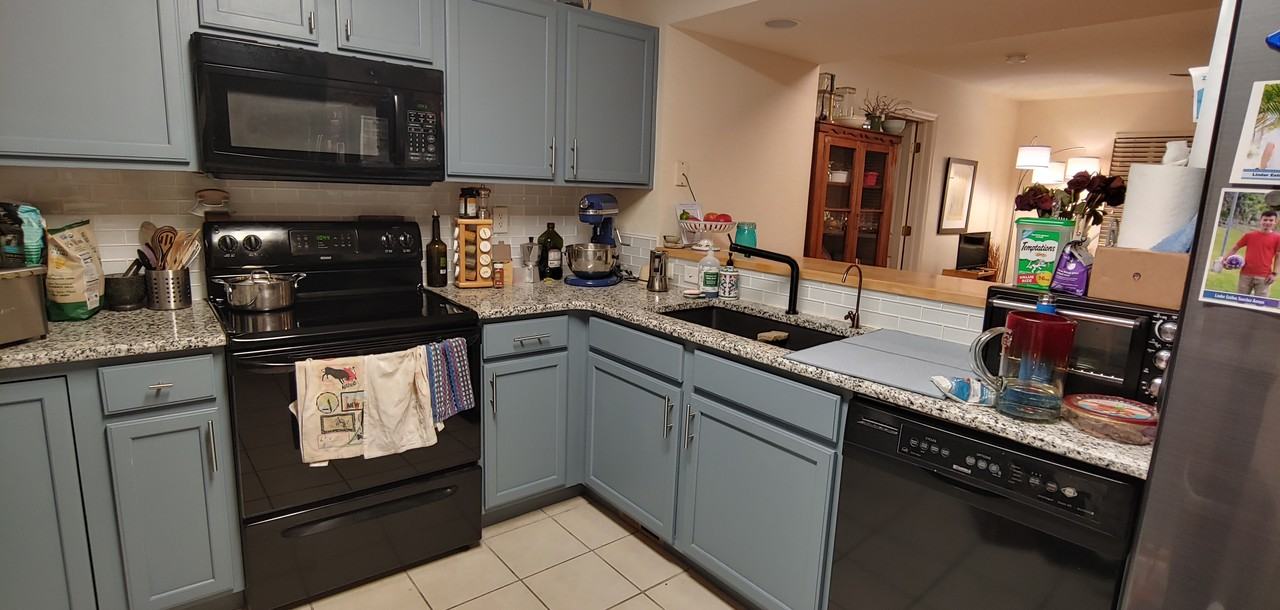 1020 Andrews Peak Drive #A103 - Photo 5 of 7