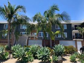 Hip Area on Hawley!!  Enjoy Street Fairs! New Grills & Resturants to Explore! - Photo 1 of 1