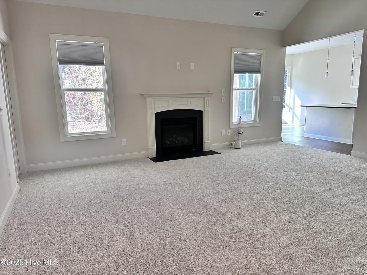 413 Belhaven Ct - Photo 5 of 32