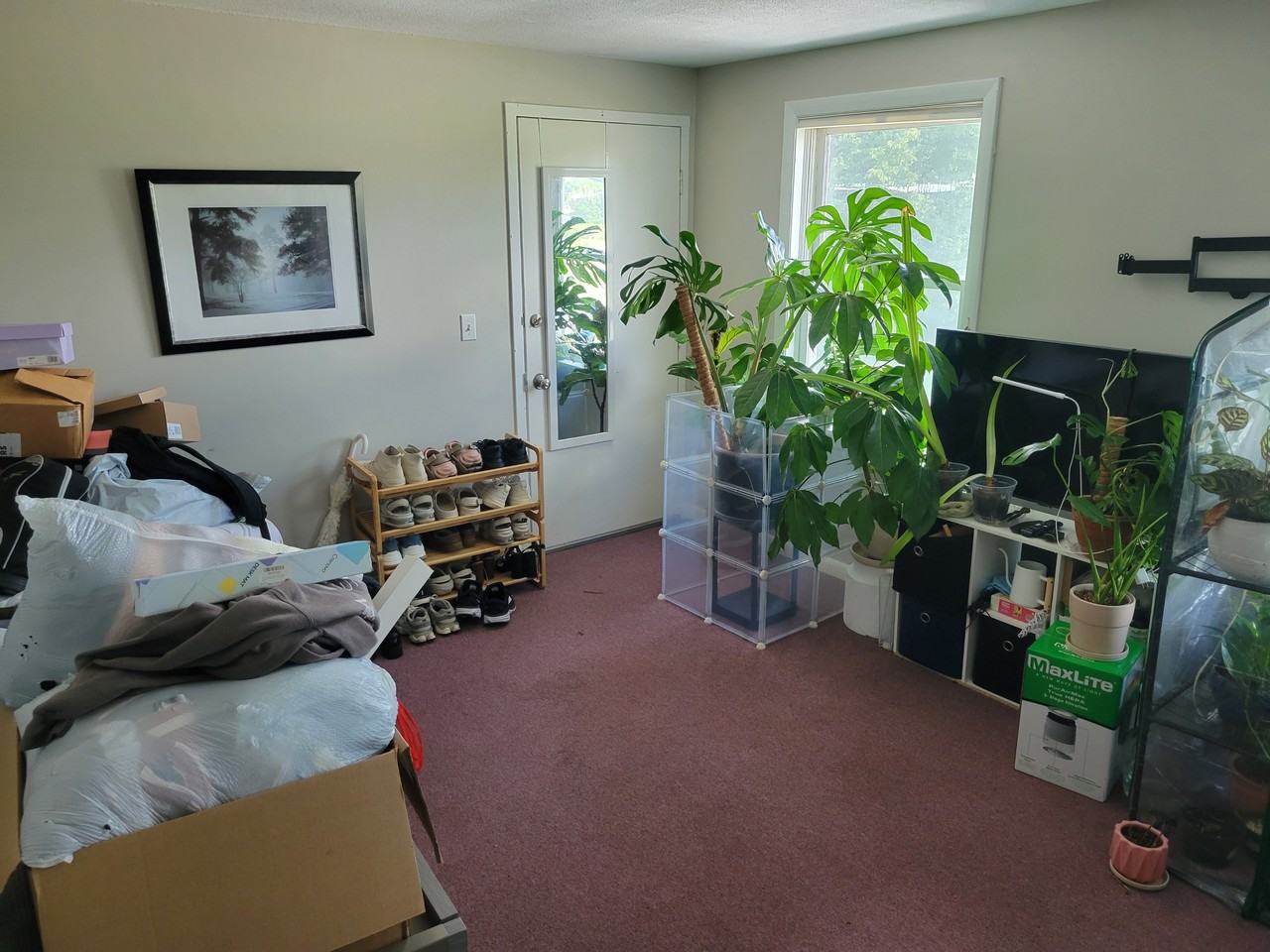 42 Amherst Rd #2 - Photo 4 of 12