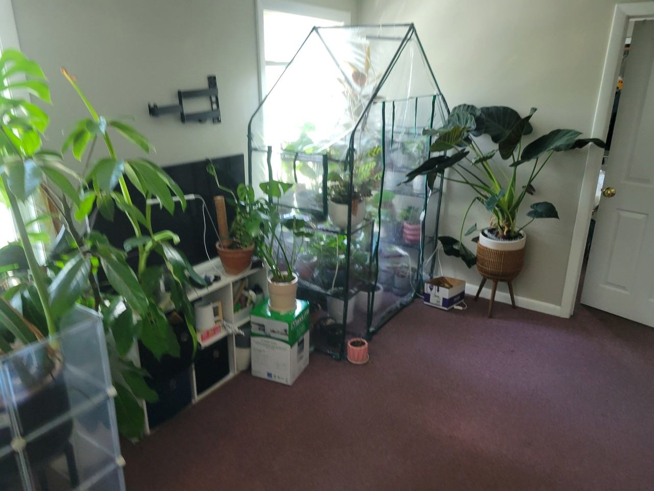 42 Amherst Rd #2 - Photo 5 of 12