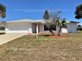 featured image of 11 Sea Swallow Ter