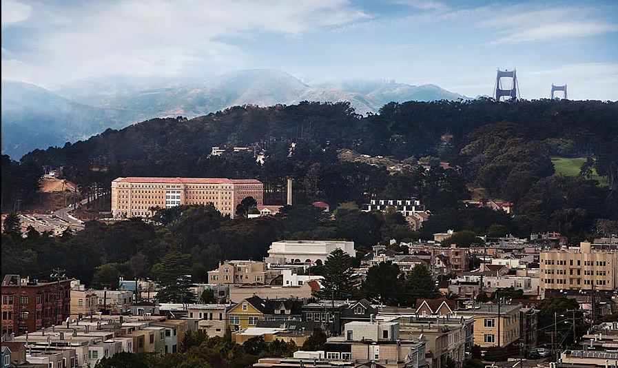 1801 Wedemeyer Street #221 - Photo 7 of 28