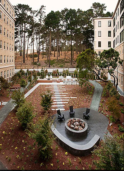 1801 Wedemeyer Street #624 - Photo 7 of 17