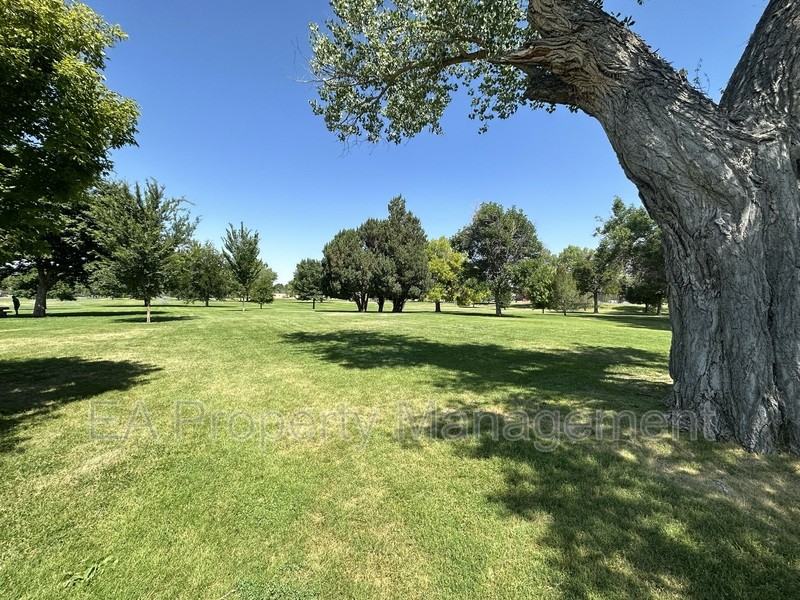 3524 Cuervo Dr Ne - Photo 4 of 16