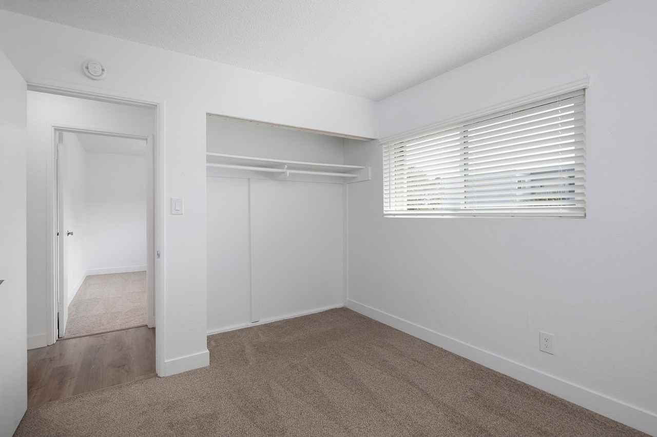 Catalina Pacific Apartments - Photo 7 of 23