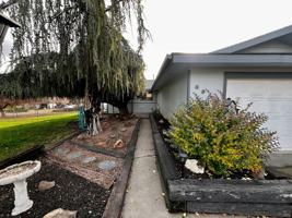 featured image of Alpine Way