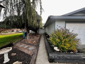 Alpine Way - Photo 1 of 1