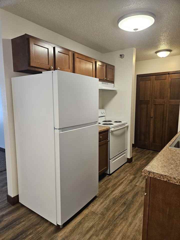 The Pines - Photo 2 of 37