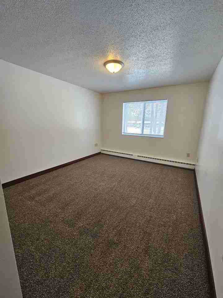 The Pines - Photo 7 of 37