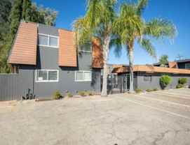 Jersey - Photo 1 of 1