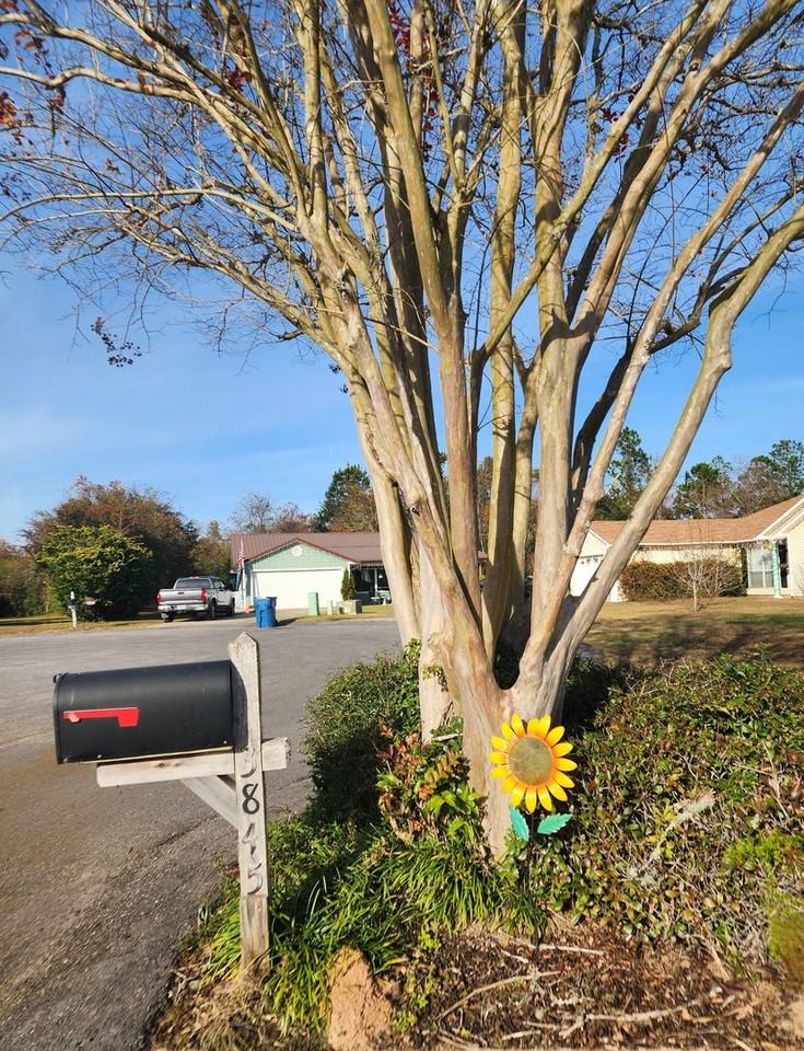 3845 Highland St - Photo 2 of 44